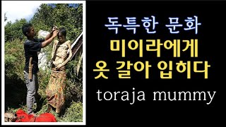 미이라에게 옷 갈아 입히다 Toraja Mummy Manene