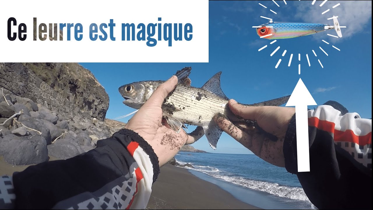 Ce LEURRE est un AIMANT à CARANGUE et BARBE 😮  Pêche du BORD en MER ILE DE LA REUNION ULTRA LIGHT