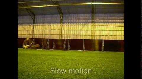 Penny - Jumping techniques agility - Video 2 - BasicGrid