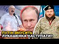 Якщо лукашенко вступить у війну, його режим буде ПОВАЛЕНО / ДИКИЙ