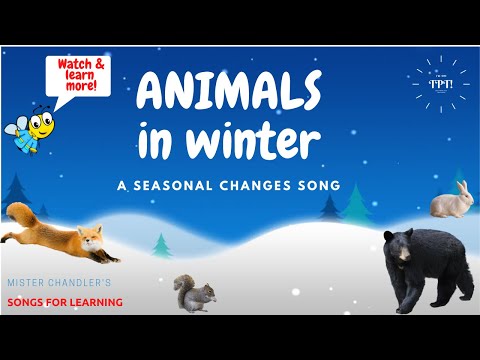 Animals in Winter: Animal Adaptations Song