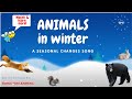 Animal Behavior in Cold Weather