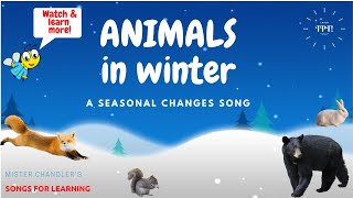 Animals in Winter: Animal Adaptations Song
