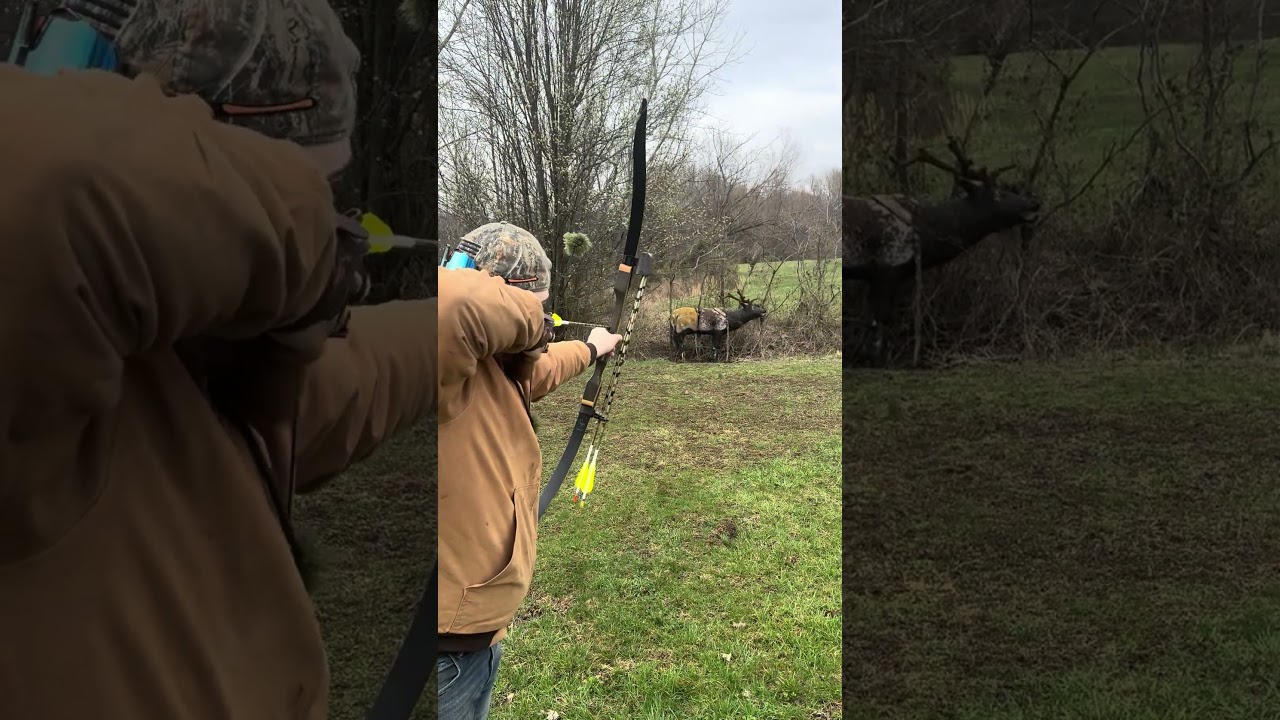 Instinct & Impact: Traditional Bow Shots That Hit Different