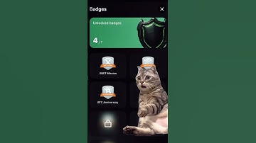 MEME with SPELL WALLET AND CUBE EXCHANGE