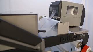 VBGR-450 Auto-Bagging System Working on Label Printer