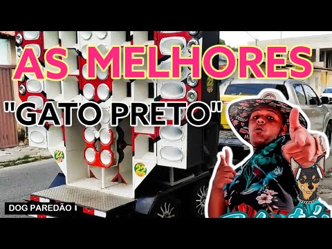 BONDE DO GATO PRETO - FESTA NA MARINA  - REPERTÓRIO COMPLETO