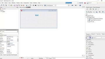 Rad Studio(Delphi) - Label