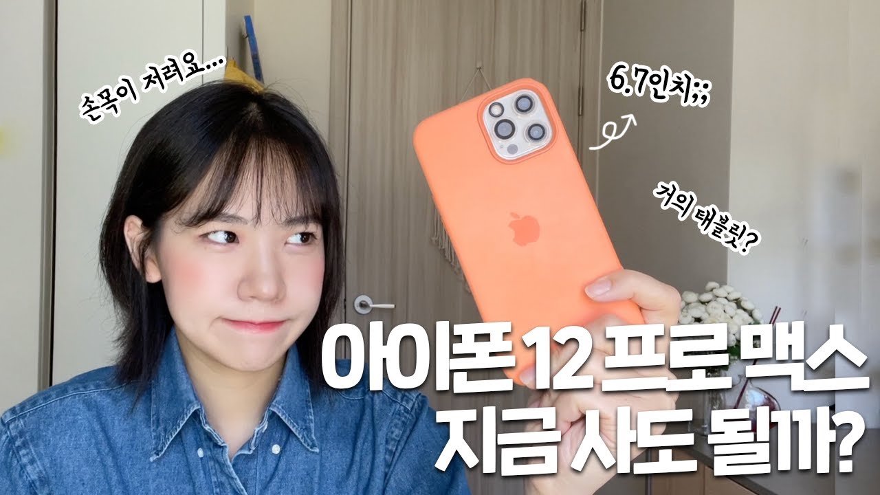 아이폰 12 프로 맥스 지금 사도 될까? 아이폰 12 pro max 8개월 사용기, 솔직한 장단점!