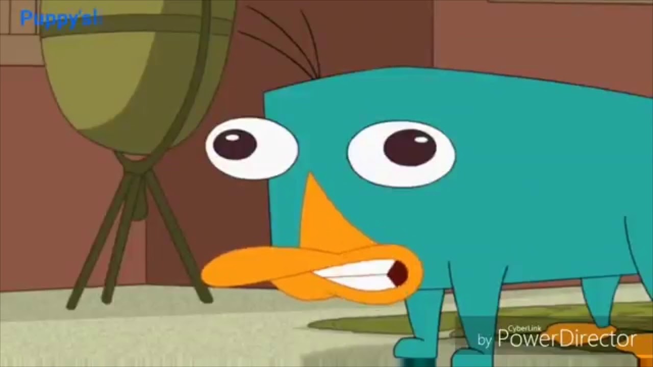 Perry The Platypus Soundbut Like Human Youtube