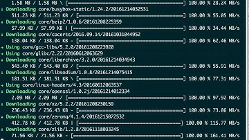 Creating and Running a Docker image with Habitat