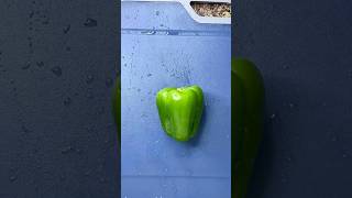 How to Cut Bell Pepper Easily FYP #cut #bellpepper #easily #fyp