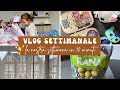 COMPLEANNO SOPHIE, IN GIRO PER NEGOZI & GIORNATA CONTRO IL BULLISMO A SCUOLA | VLOG SETTIMANALE