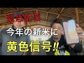 今年もコメ不足がくるかもしれません