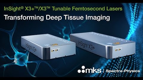 Discover the Spectra-Physics® InSight® X3+™ at the Neuroscience show!