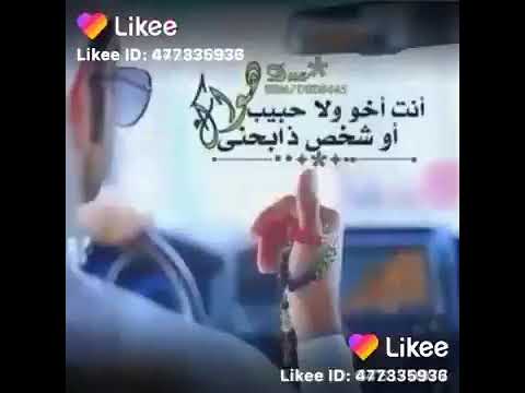 احلى شيله انت اخو ولا حبيب أو شخص ذابحني 