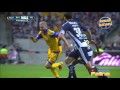 Clásico 106 Monterrey vs Tigres 1-0 Jornada 9 Clausura 2016 Liga Mx HD