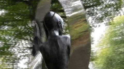 Why I love the University of Kent