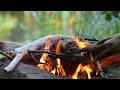4K SOLO CAMPING نمت لوحدي في أعمق غابة بلجيكية مظلمة مغامرة غير متوقعة 