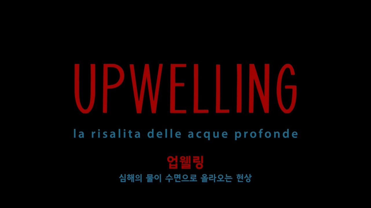 [EIDF 2017] 업웰링 (Upwelling - Deep Waters Rising to the Surface) - YouTube