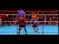 Roy Jones v. Tarver Trilogy HL: First Sequence