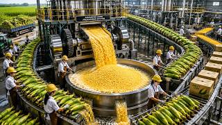 How Millions of Corn Are Processed | Inside the World's Most Advanced Corn Processing Plant