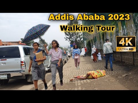 Goro (Mortal Kombat) visual data 6