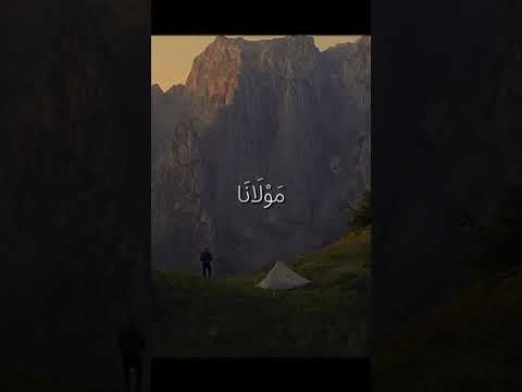 5 يوليوز 2026