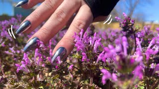 Gentle Outdoors ASMR — Tapping & Scratching