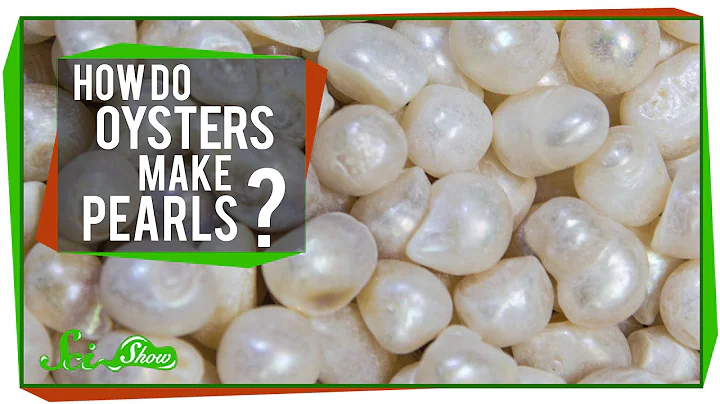 How Do Oysters Make Pearls?