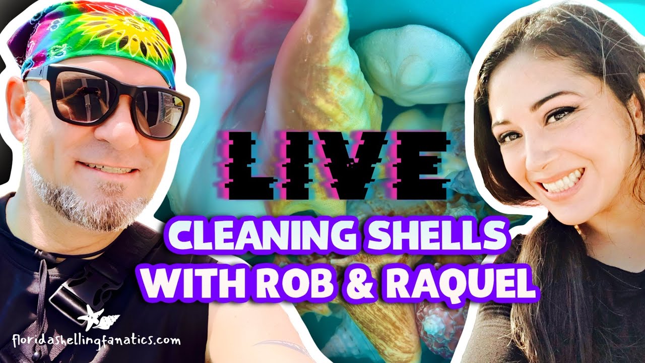 ✨ LIVE ✨ Cleaning Shells with Rob & Raquel from Florida Shelling Fanatics!