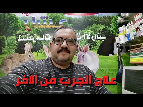 علاج الجرب حكاوي الارانب ١