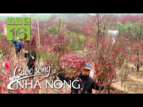 Bí quyết nghề