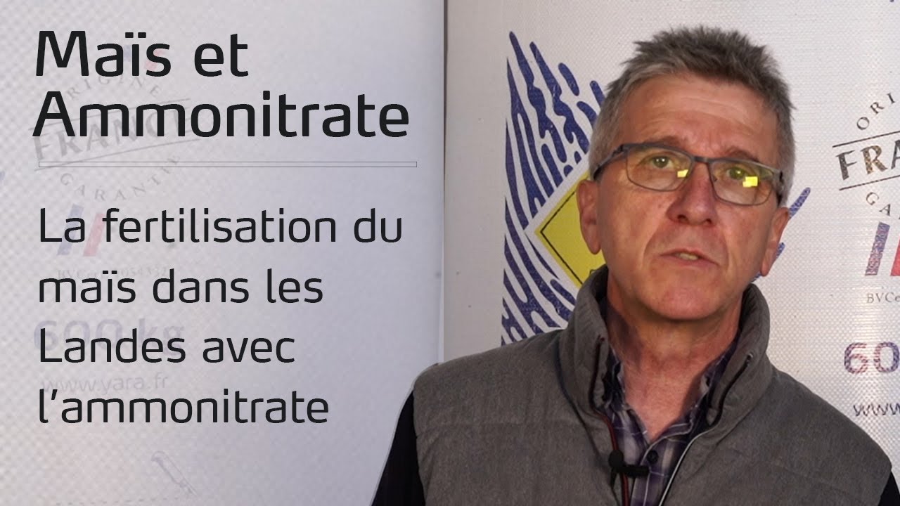 Mieux comprendre l’intégration de l’ammonitrate dans la fertilisation du maïs des Landes