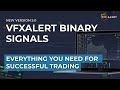 How to trade with vfxalert signals  signals for binary options