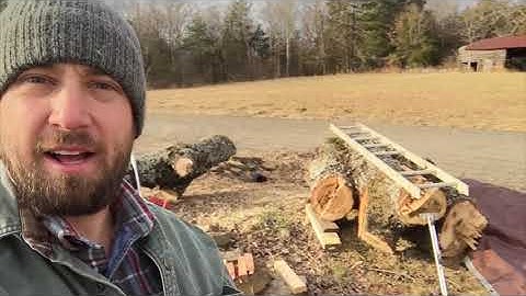 MILLING A HUGE MAPLE in the OZARKS | Granberg SAWMILL | Chainsaw milling VLOG EP1