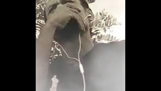 Download lagu Lagu naff tak pantas memiliki