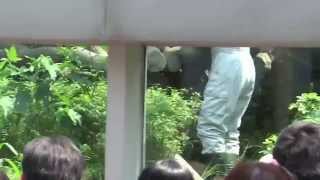 20140405早上收貓11:21panda Yuanzai