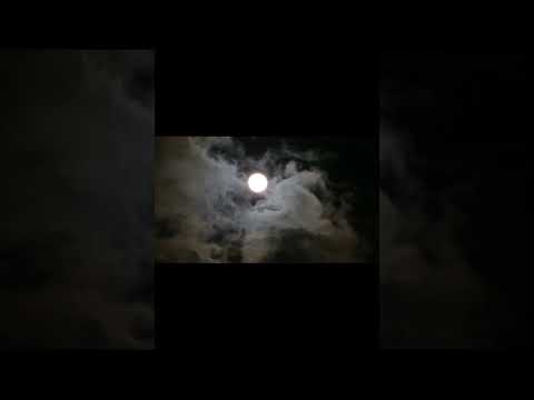 عمرك لحظه منزلتينى