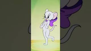 Tom and Jerry Chase TikTok Toodles galore