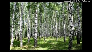 Zamiast - Edyta Gepert Cover ?