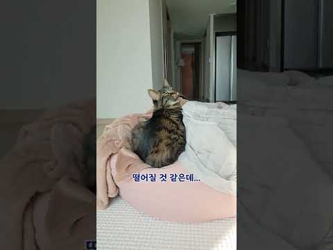 벼랑끝의 <strong>칡</strong> 구하기