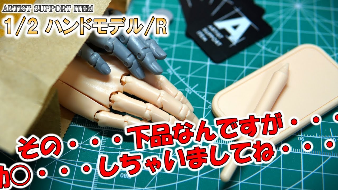シャレドワ 検定セット ハンドモデル付き ARTIST SUPPORT ITEM ハンドモデル/R -GRAY-｜ARTIST SUPPORT ITEM