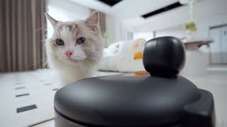 Catboxy Europa E1 Smart Wet Food Feeder with Refrigeration, Heating, and Camera screenshot 5