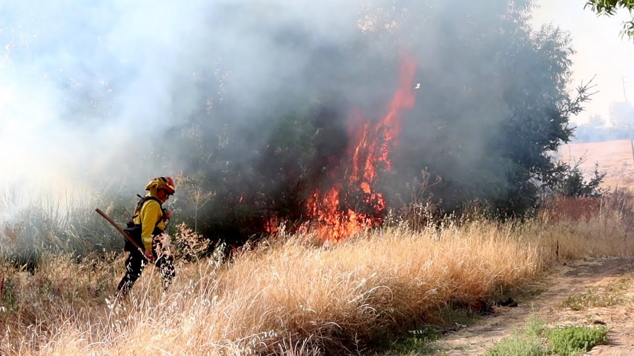 Firefighters Limit Vegetation Fire Started by Homeless in Antioch - YouTube