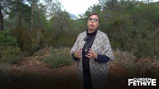 Zeynep Ebru Aksoy Köylüler Arıcılıktan, Turizmden Besleniyor Neden Bindiğimiz Dalı Kesiyoruz?