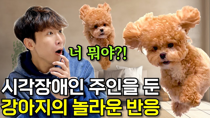 Come spend the day with a visually impaired person and his puppy