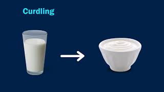 Chemical Changes: Exploring Everyday Transformations | Examples of Chemical Change