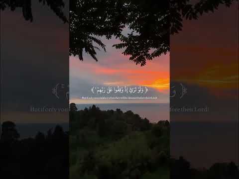 قالوا ان هي الا حياتنا الدنيا نموت ونحيا وما نحن بمبعوثين تلاوة خاشعة اكسبلور لايك محمد اللحيدان