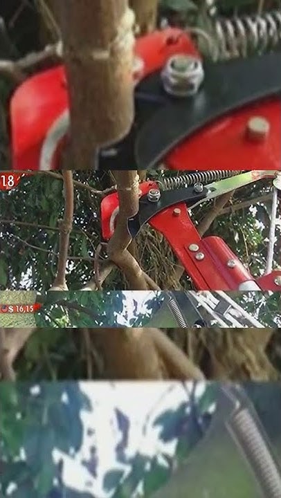 Инструмент для обрезки деревьев на высоте 🇺🇦 🇷🇺 - YouTube